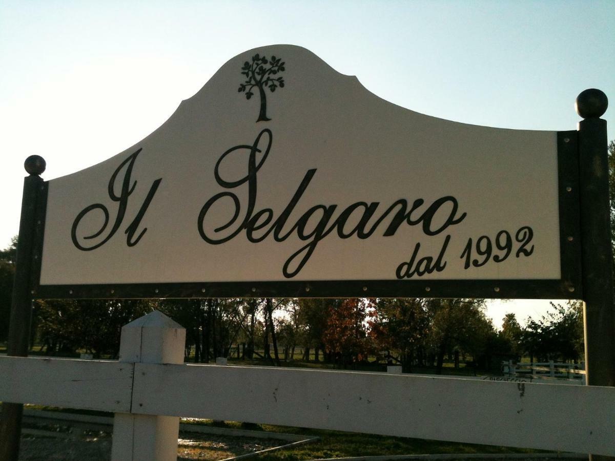 Il Selgaro Agriturismo Hotel Zelarino Exterior photo